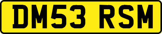 DM53RSM