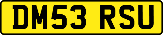 DM53RSU