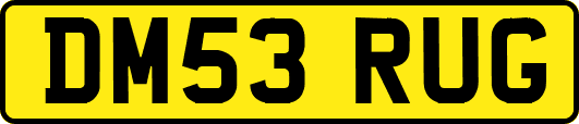DM53RUG