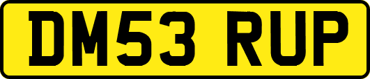 DM53RUP