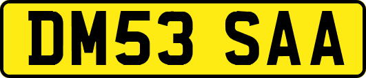 DM53SAA