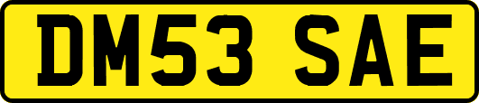 DM53SAE