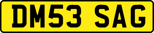 DM53SAG