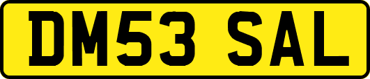 DM53SAL