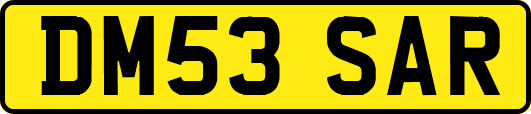 DM53SAR