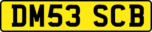DM53SCB