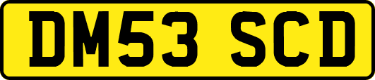 DM53SCD