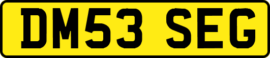 DM53SEG