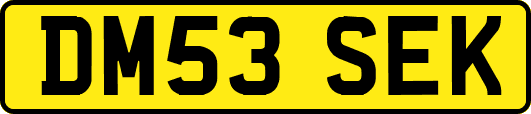DM53SEK