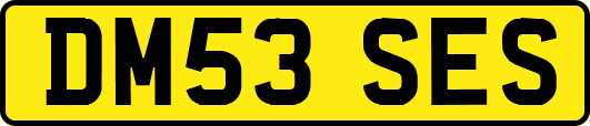 DM53SES