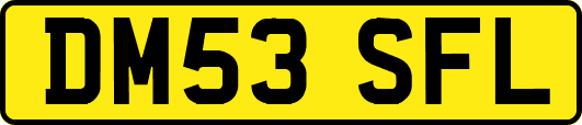 DM53SFL