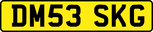 DM53SKG