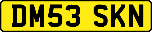 DM53SKN