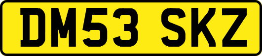 DM53SKZ