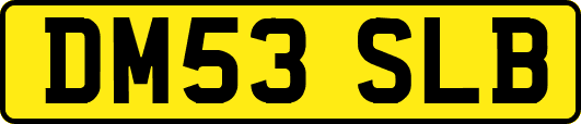 DM53SLB
