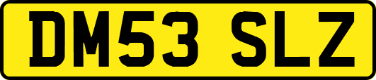 DM53SLZ