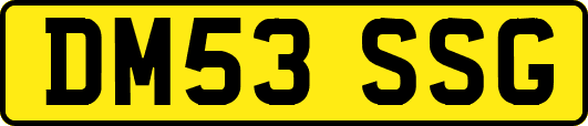 DM53SSG
