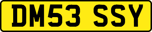 DM53SSY