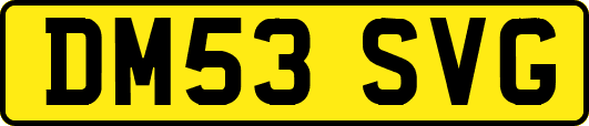 DM53SVG