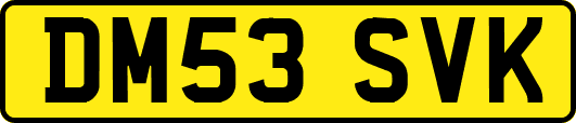 DM53SVK