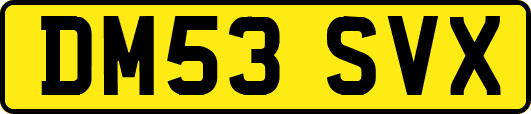 DM53SVX
