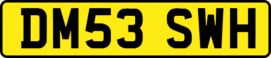 DM53SWH