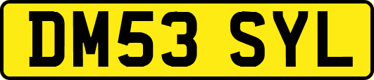 DM53SYL