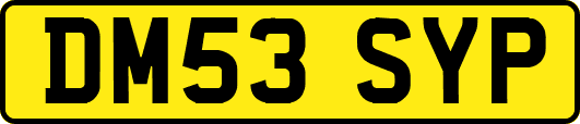 DM53SYP