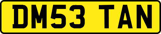 DM53TAN