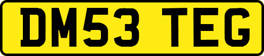 DM53TEG