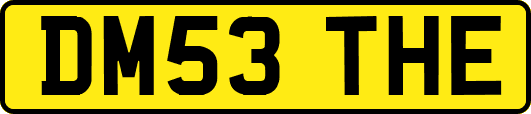 DM53THE