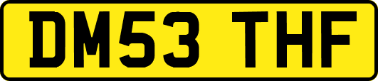 DM53THF