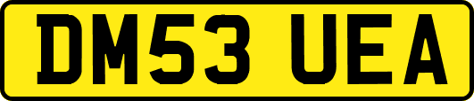 DM53UEA
