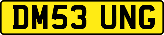 DM53UNG