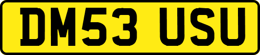 DM53USU