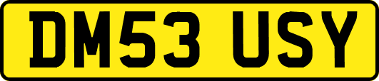 DM53USY