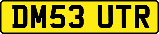 DM53UTR