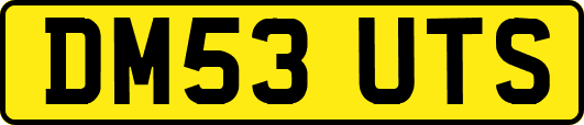 DM53UTS