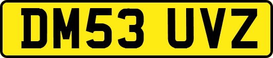 DM53UVZ