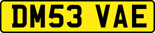 DM53VAE