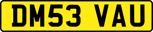 DM53VAU