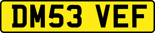 DM53VEF