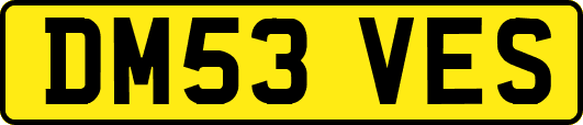 DM53VES
