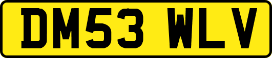 DM53WLV
