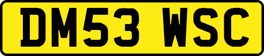 DM53WSC