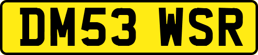 DM53WSR