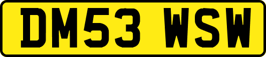 DM53WSW