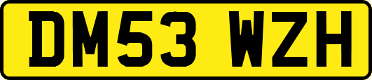 DM53WZH