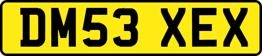 DM53XEX