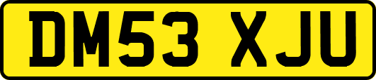 DM53XJU